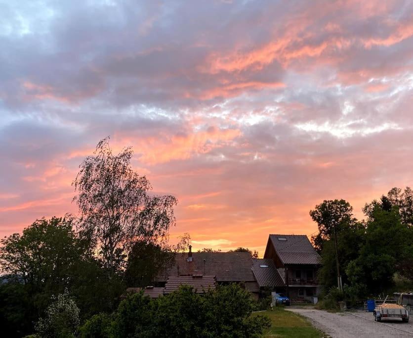 Hébergement de vacances L'ecrin Savoyard